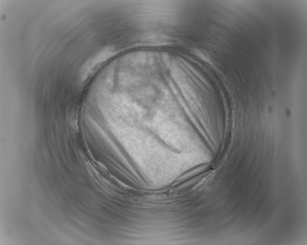 X0000053081451200508011954