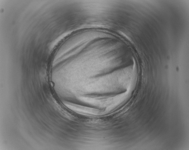 X0000053081452200508011954