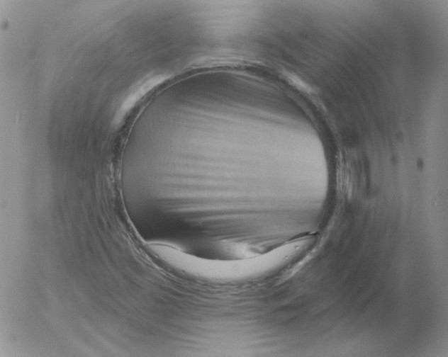 X0000053081453200508011953