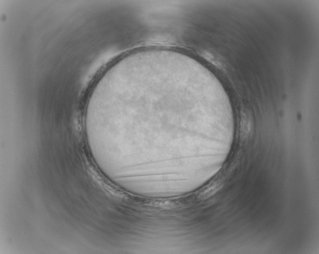 X0000053081454200508011953