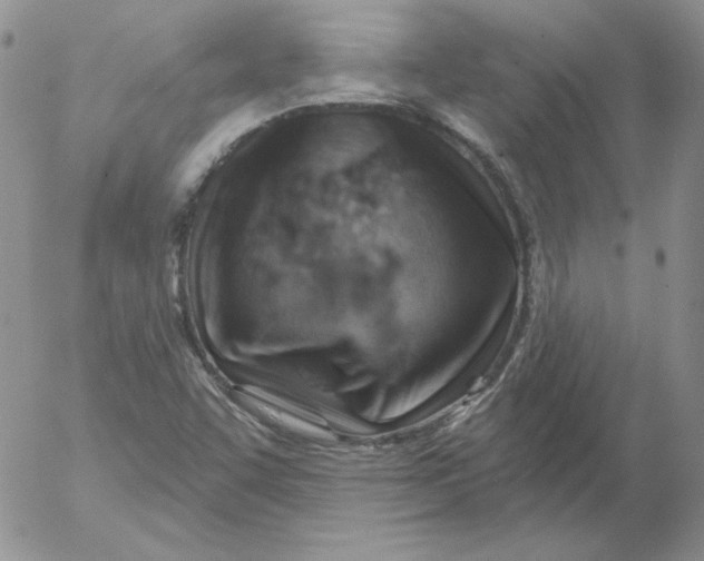 X0000053081455200508011953