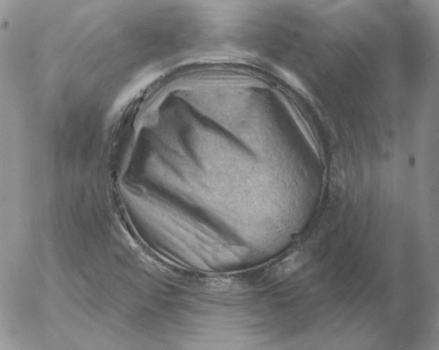 X0000053081456200508011953