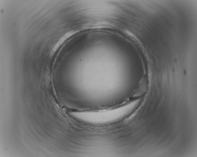 X0000053081457200508011953