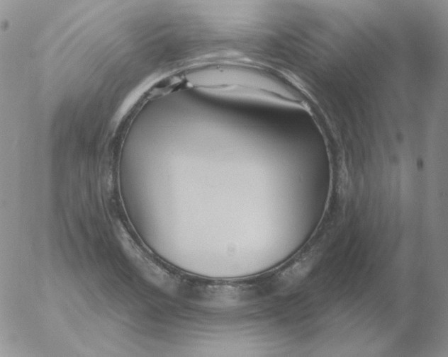 X0000053081458200508011953