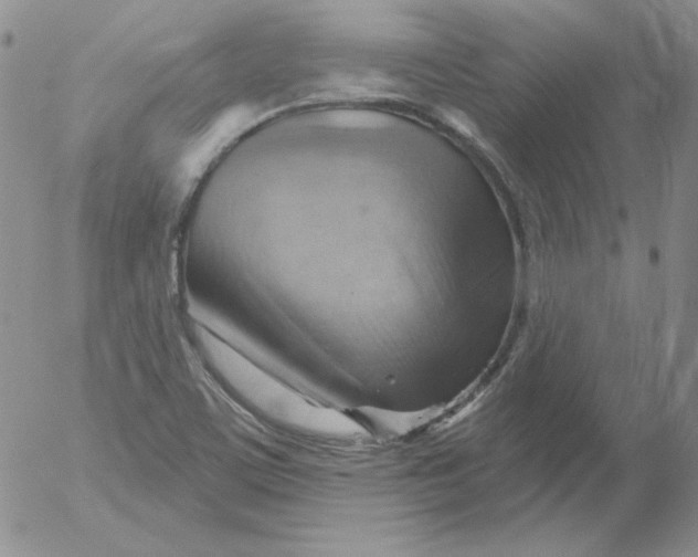 X0000053081459200508011953