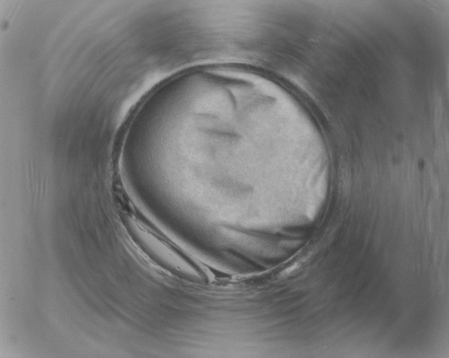 X0000053081460200508011953