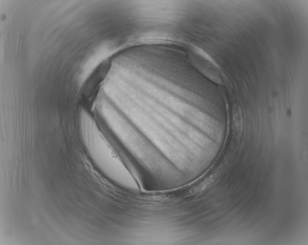 X0000053081461200508011953