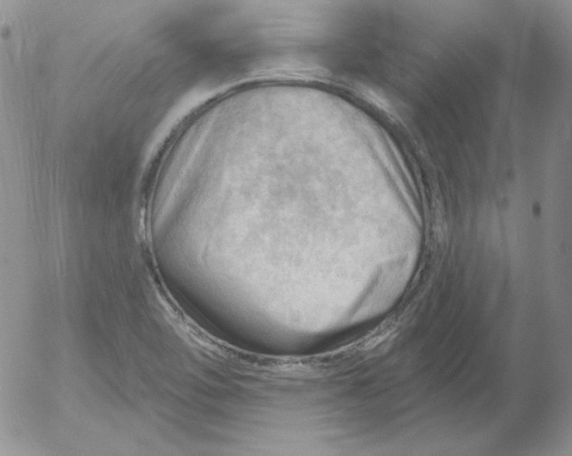 X0000053081462200508011953