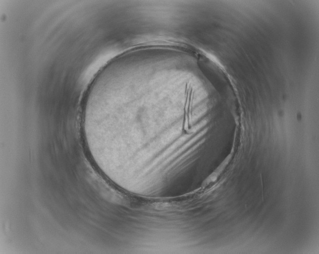 X0000053081463200508011953