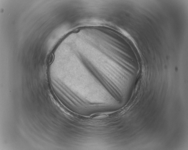 X0000053081464200508011953