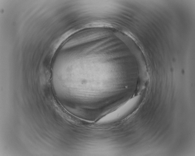 X0000053081465200508011953