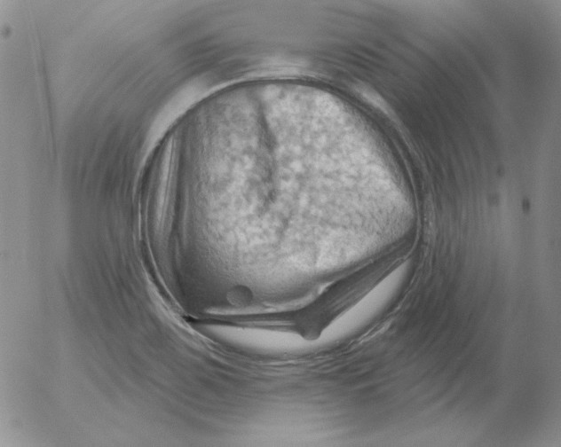 X0000053081467200508011953