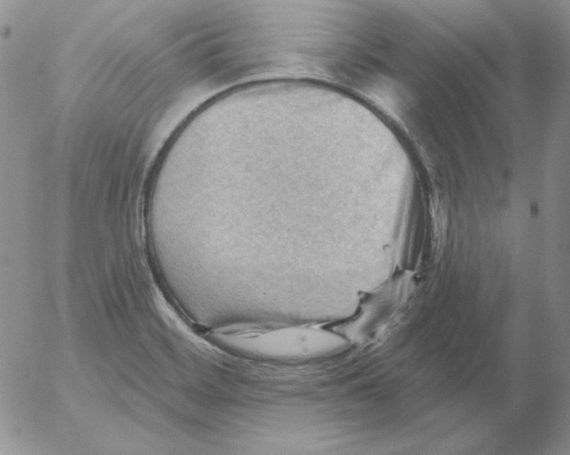 X0000053081468200508011953