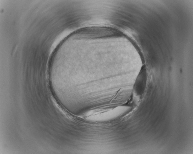 X0000053081469200508011953