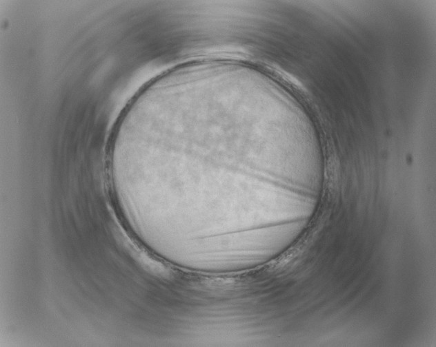 X0000053081470200508011953