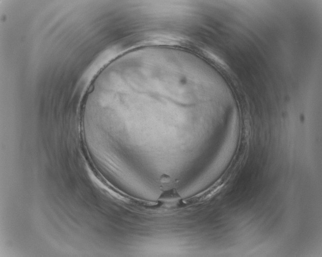 X0000053081471200508011953