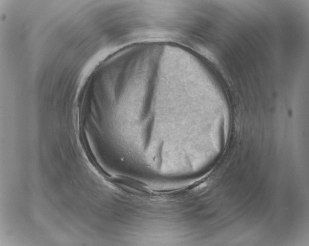 X0000053081472200508011953