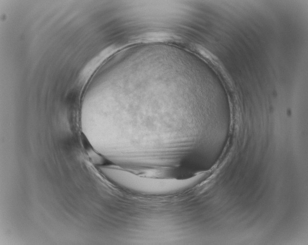 X0000053081473200508011953