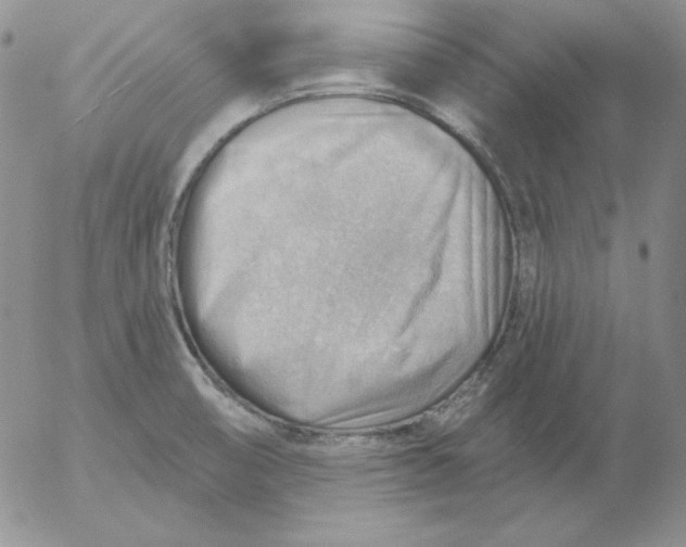 X0000053081474200508011953