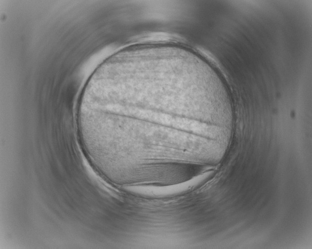 X0000053081475200508011953