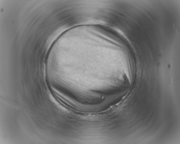 X0000053081476200508011953