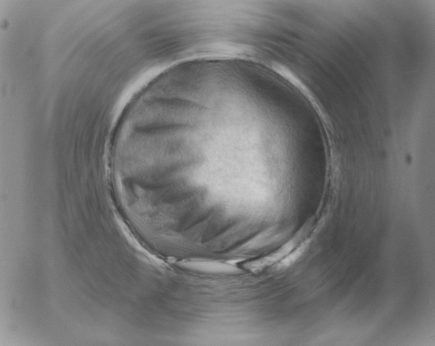 X0000053081477200508011953