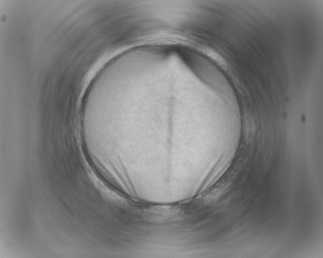 X0000053081478200508011953