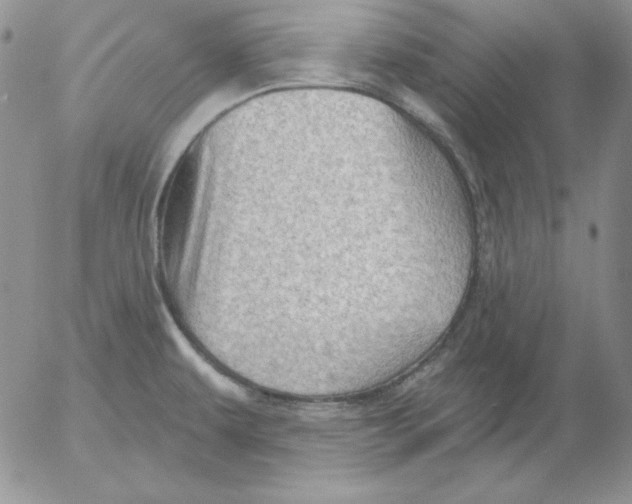 X0000053081479200508011953