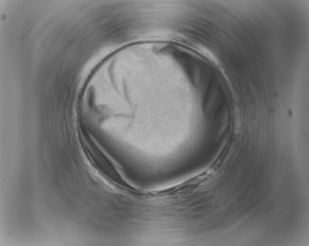 X0000053081480200508011953