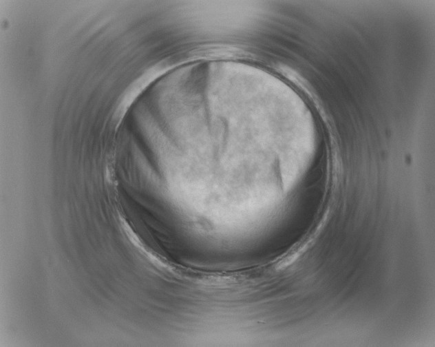 X0000053081481200508011953