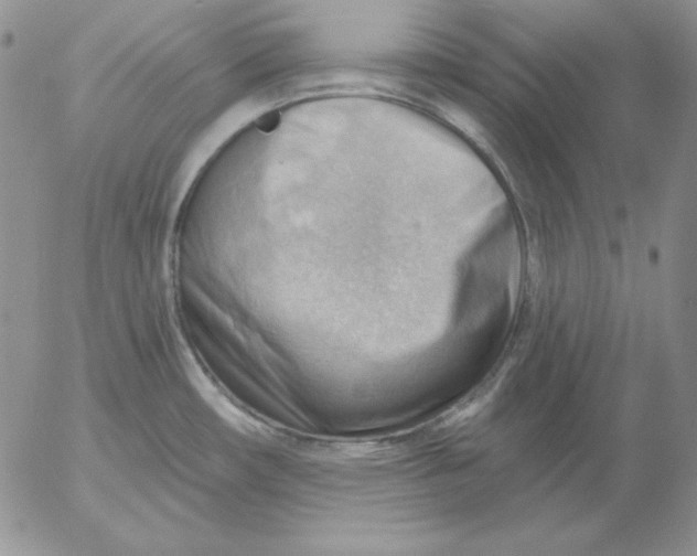 X0000053081482200508011953