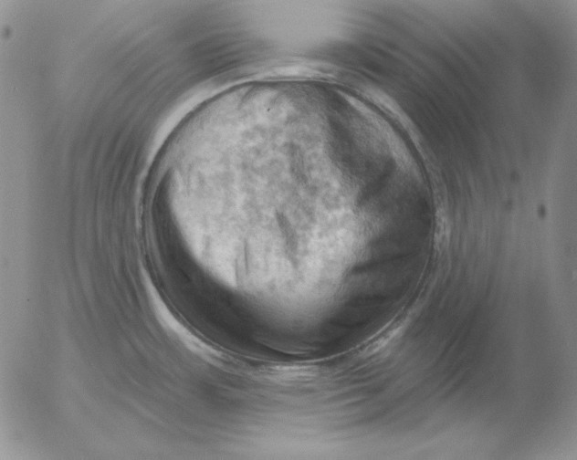 X0000053081483200508011953