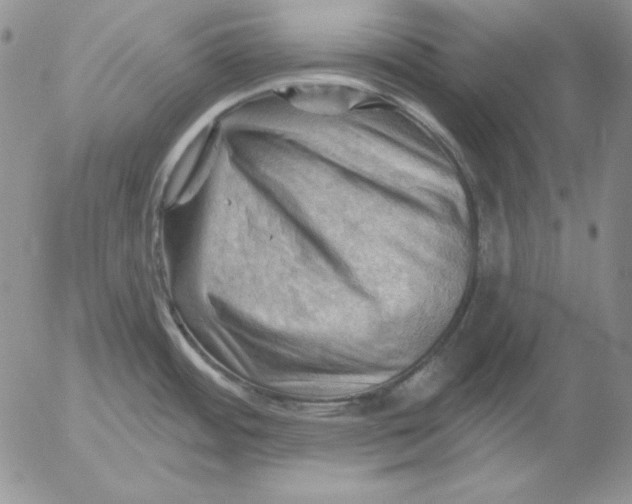 X0000053081484200508011953