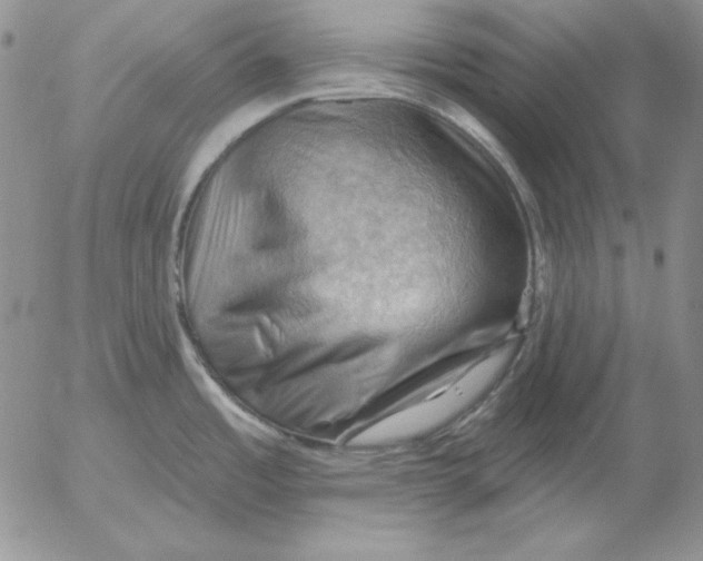 X0000053081485200508011953