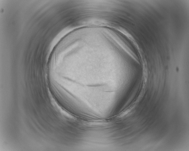 X0000053081486200508011953