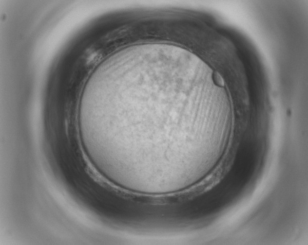 X0000053081487200508011953