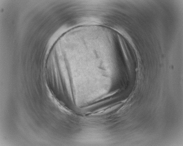 X0000053081488200508011953