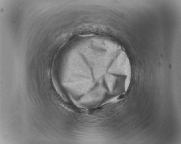 X0000053081489200508011952