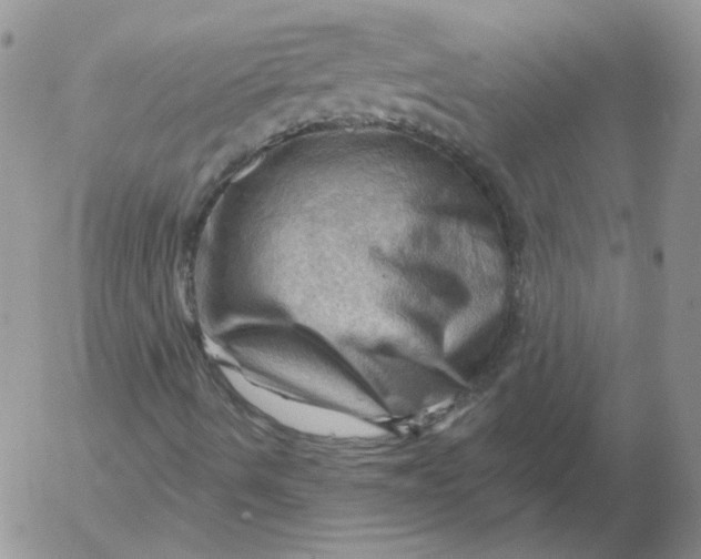 X0000053081490200508011952