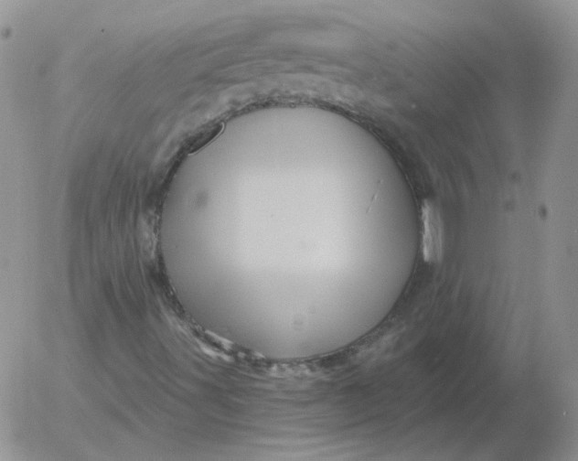 X0000053081491200508011952