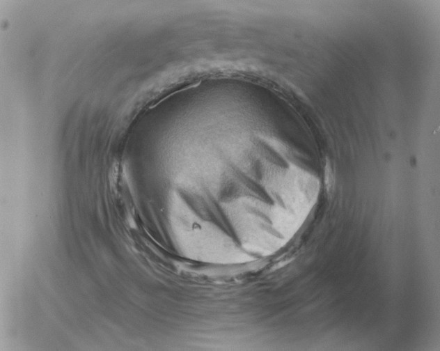 X0000053081492200508011952