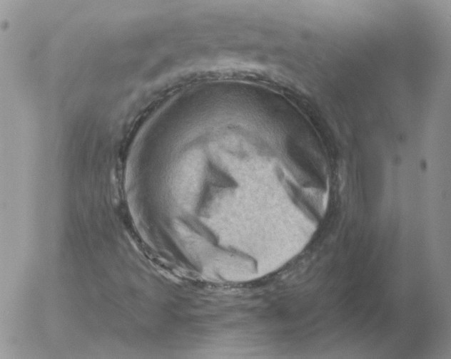 X0000053081493200508011952