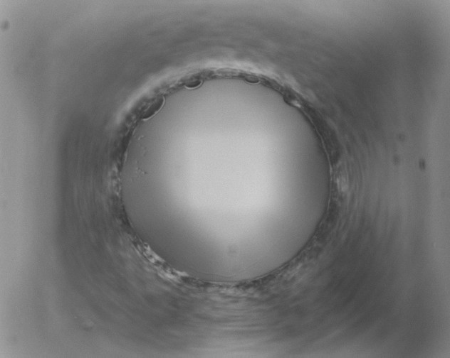 X0000053081495200508011952