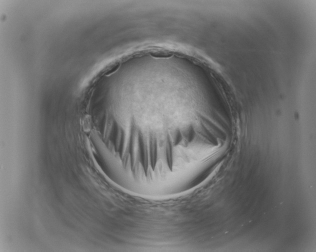 X0000053081496200508011952