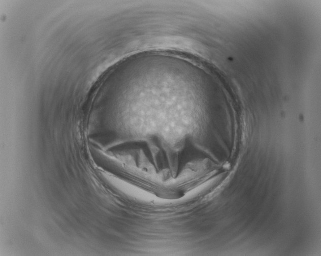 X0000053081497200508011952