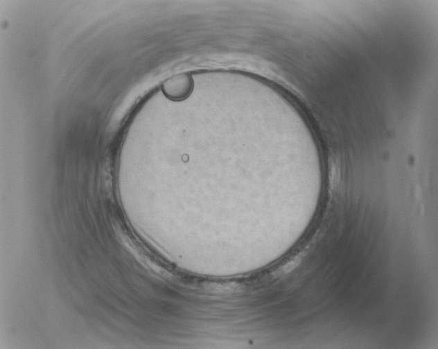 X0000053081498200508011952