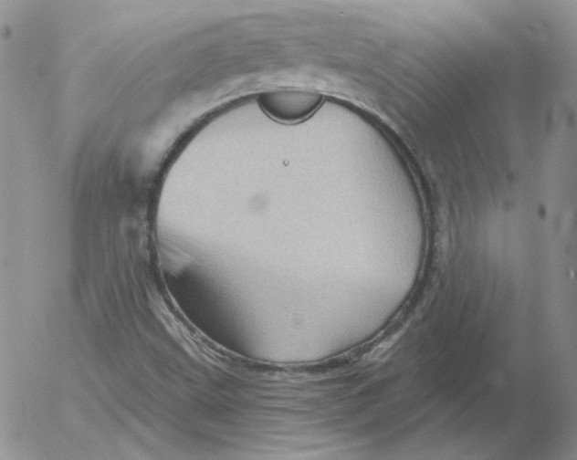 X0000053081499200508011952