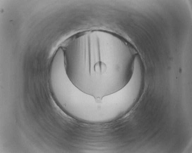 X0000053081500200508011952