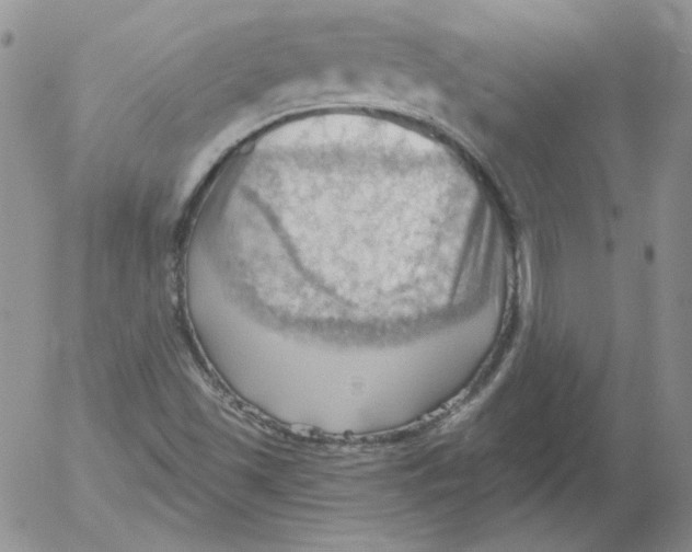 X0000053081501200508011952