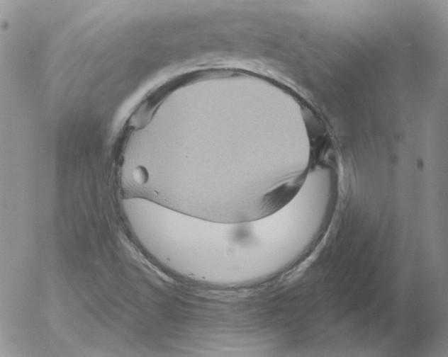 X0000053081502200508011952